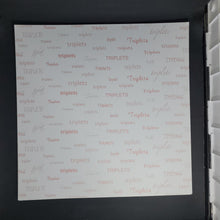 Load image into Gallery viewer, Scrappin' Twins 12x12 Scrapbook Paper Triplets Pink (TWP-05)