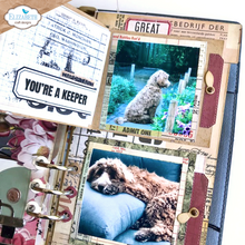 Load image into Gallery viewer, Elizabeth Craft Designs Planner Essentials Greatest Hits Collection Dies Tab 6 with Turn Button Frame (2057)