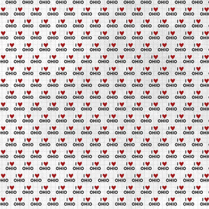 Scrapbook Customs 12x12 Scrapbook Paper Ohio Adventure Map Paper (38559a)