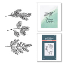 Load image into Gallery viewer, Spellbinders Paper Arts BetterPress Letterpress Press Plate Evergreen Branches (BP-067)