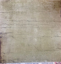 Load image into Gallery viewer, Kaisercraft Keepsake Collection 12x12 Scrapbook Paper Collected (P2329)
