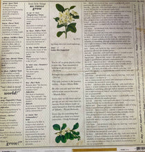 Load image into Gallery viewer, Kaisercraft Limelight Collection 12x12 Scrapbook Paper Arise (P1448)
