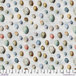 Tim Holtz Freespirit Fabric  Blue Eggs (PWTH285.Blue)