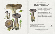 Load image into Gallery viewer, Mushrooms: Alexander Viazmensky Knowledge Cards (K393)