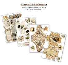 Load image into Gallery viewer, Ciao Bella - Cabinet of Curiosities Junk Journal & Ephemera Book A4 32/Pkg (CBB002)