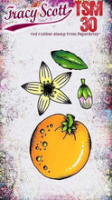 Load image into Gallery viewer, Paperartsy Tracy Scott Mini Stamp Orange (TSM30)