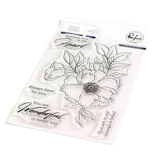 Load image into Gallery viewer, Pinkfresh Studio Clear Stamp Set + Coordinating Die + Stencil  Wonderful in Every Way (19243/192323/19223)