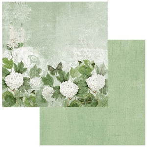 49 & Market Willow #2 21x12 Paper (WCS-27921)