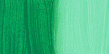Load image into Gallery viewer, GOLDEN Fluid Acrylics Permanent Green Light (2250B-1)
