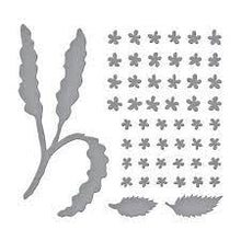 Load image into Gallery viewer, Spellbinders Cutting Die Spirea (Bridal Wreath) by Susan Tierney-Cockburn (S4-1084)