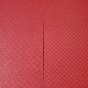 Authentique 12x12 Scrapbook Paper Lady Bug Two (SPO026)