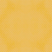 Load image into Gallery viewer, Simple Stories Hearth & Home Collection 12x12 Designer Cardstock Bless Us (16503)