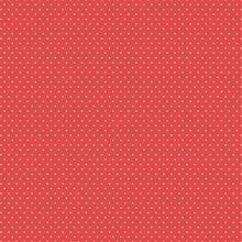 Load image into Gallery viewer, Simple Stories Into the Wild Collection 12x12 Scrapbook 3x4 Elements (17611)
