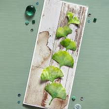 Load image into Gallery viewer, Elizabeth Craft Designs Die Set Paper Flowers Collection Gingko (1779)
