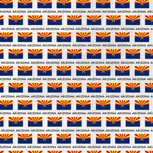 Scrapbook Customs 12x12 Scrapbook Paper Arizona Adventure Flag (38476a)