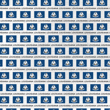 Load image into Gallery viewer, Scrapbook Customs 12x12 Scrapbook Paper Louisiana Adventure Flag (38491a)
