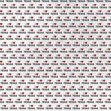 Load image into Gallery viewer, Scrapbook Customs 12x12 Scrapbook Paper Texas Adventure Map (38567a)

