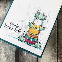 Load image into Gallery viewer, PaperArtsy Rubber Stamp Set Llama Fiesta designed by ElenaZinski Art (ZA60)