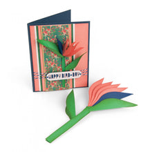 Load image into Gallery viewer, Sizzix Framelits Die Set Bird of Paradise, 2-D & 3-D (662782)