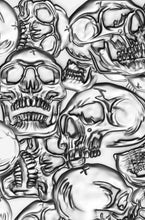 Load image into Gallery viewer, Sizzix 3-D Texture Fades Embossing Folder Skulls by Tim Holtz (665771)