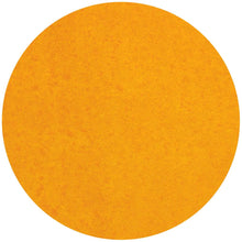 Load image into Gallery viewer, Nuvo Aqua Flow Brush Tip Watercolor Pens Autumn Woodland (890N)