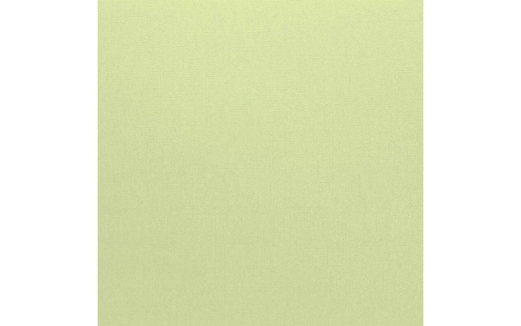 Bazzill Cardstock Mono 12x12 Aloe Vera (309013)