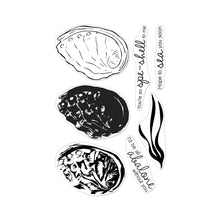 Load image into Gallery viewer, Hero Arts Stamp Color Layering Abalone (CM543)