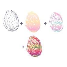 Load image into Gallery viewer, Hero Arts Stamp Color Layering Abalone (CM543)