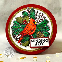 Load image into Gallery viewer, Hero Arts Stamp & Die Set Holiday Cardinal (SB330)