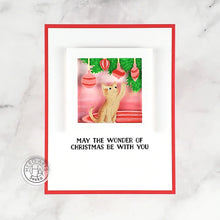 Load image into Gallery viewer, Hero Arts Die Looking Glass Die Kitten (DF078)