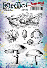 Load image into Gallery viewer, PaperArtsy Stamp Set Acorns & Mushrooms designed by Scrapcosy (ESC05)