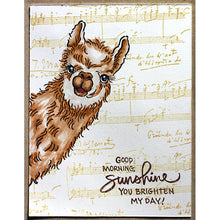 Load image into Gallery viewer, Stampendous Fran's Cling Rubber Stamps Music Notations (CRP350)