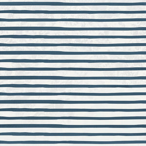 Kaisercraft Uncharted Waters Collection 12x12 Scrapbook Paper Streak (P2850)