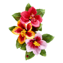 Load image into Gallery viewer, Spellbinders Paper Arts Cutting Dies Hibiscus by Susan Tierney-Cockburn (S4-1159)