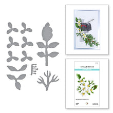 Load image into Gallery viewer, Spellbinders Paper Arts Cutting Dies Jasmine (S4-1204)