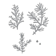 Load image into Gallery viewer, Spellbinders Paper Arts Cutting Dies Winter Evergreen Foliage and Ladybugs (S5-515)
