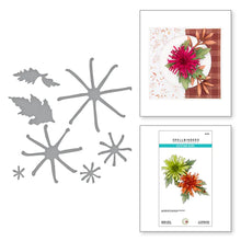 Load image into Gallery viewer, Spellbinders Paper Arts Victory Garden Collection Spider Mum Die Set (S5-576)