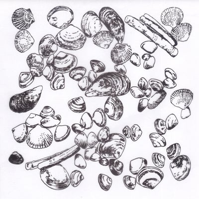 Marianne Designs Background Stamps Tiny's Seashells (CS0970)
