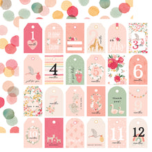 Load image into Gallery viewer, Echo Park Paper Co. Welcome Baby Girl Collection Kit (WBG233016)