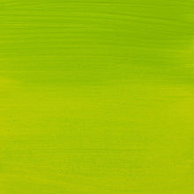 Load image into Gallery viewer, Amsterdam Standard Series Acrylic Yellowish Green (17096172)