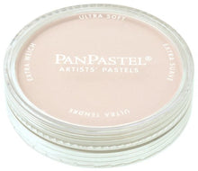 Load image into Gallery viewer, PanPastel Ultra Soft Artist Pastel 9ml-Raw Umber Tint (27808)