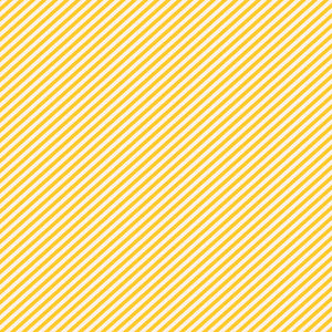 Simple Stories Say Cheese 4 Collection 12x12 Scrapbook Paper Happy Magical Moments (10527)