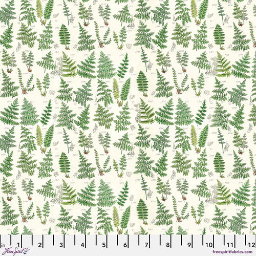Tim Holtz Freespirit Fabric Green Ferns (PWTH265.GREEN)