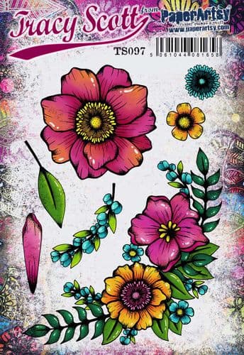 PaperArtsy Rubber Stamp Set #97 designed by Tracy Scott (TS097)