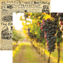 Load image into Gallery viewer, Reminisce Scrapbook Paper - 12&quot; x 12&quot; - Italy - On the Vine (IT-004)
