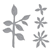 Load image into Gallery viewer, Spellbinders Paper Arts Carolina Allspice Etched Dies by Susan Tierney-Cockburn (S4-1234)
