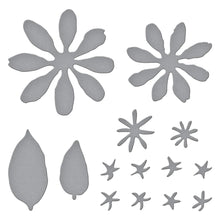 Load image into Gallery viewer, Spellbinders Paper Arts Zinnia Etched Dies by Susan Tierney-Cockburn (S4-1236)
