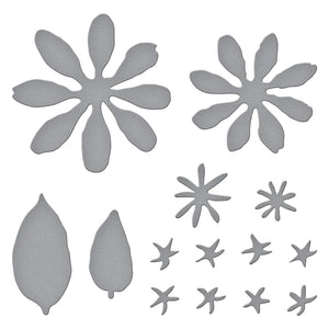 Spellbinders Paper Arts Zinnia Etched Dies by Susan Tierney-Cockburn (S4-1236)