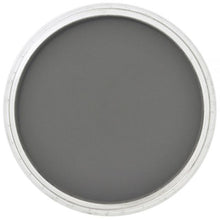 Load image into Gallery viewer, PanPastel Ultra Soft Artist Pastel 9ml-Neutral Grey Extra Dark (28202)
